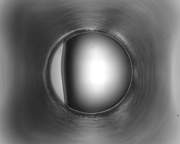 X0000088700532200705311018