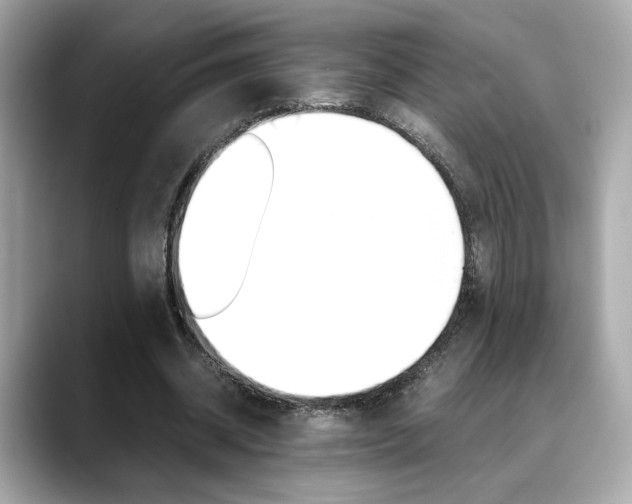 X0000088700534200705311018