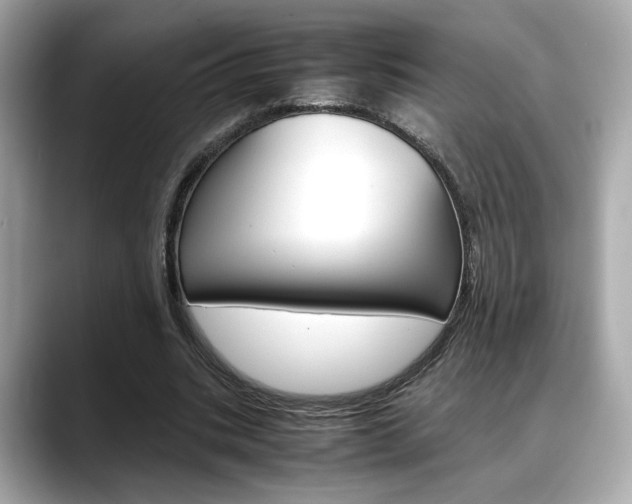 X0000088700535200705311018