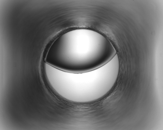 X0000088700536200705311018