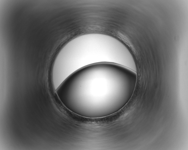 X0000088700538200705311018