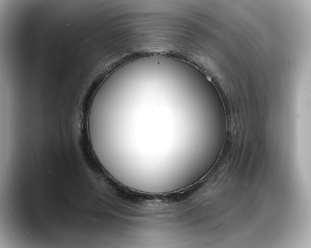 X0000088700544200705311018