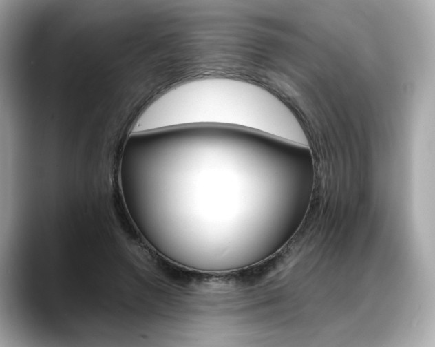 X0000088700546200705311018