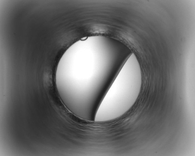 X0000088700547200705311018