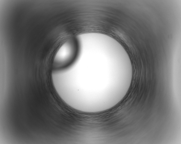 X0000088700548200705311018
