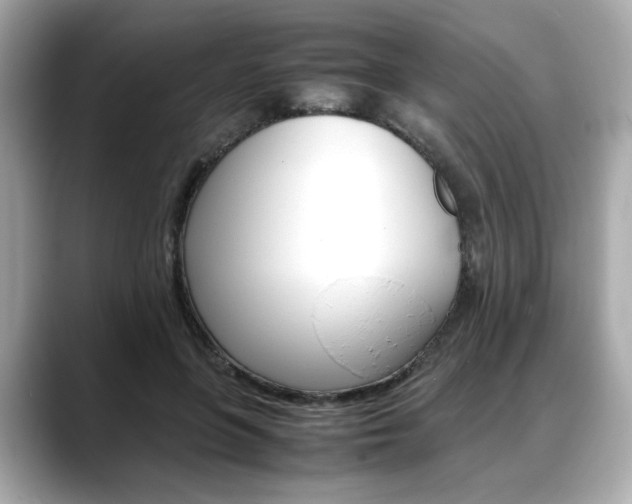 X0000088700551200705311018