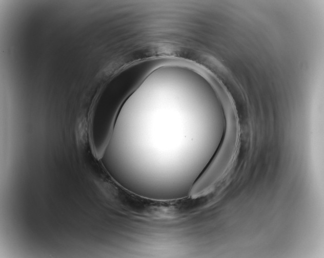 X0000088700552200705311018