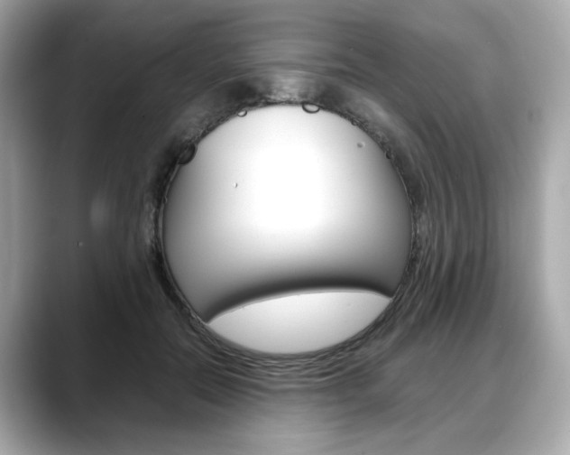 X0000088700554200705311018