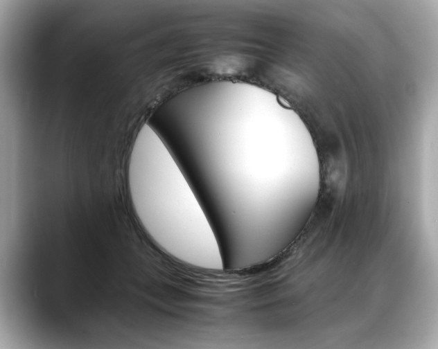 X0000088700559200705311018