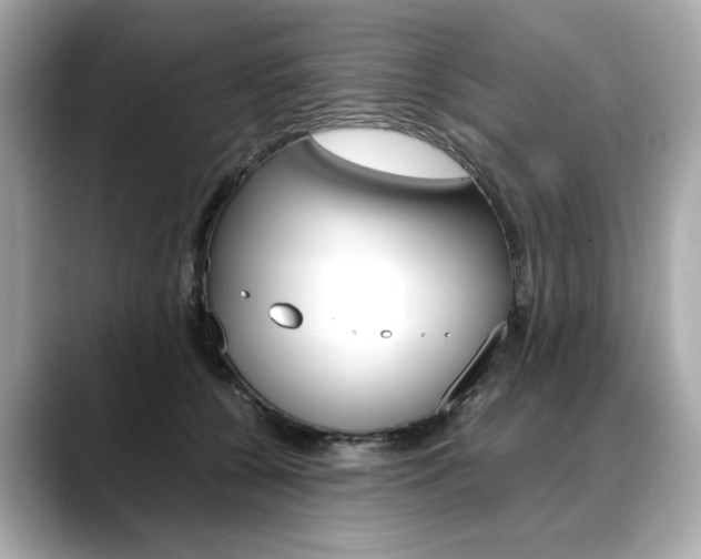 X0000088700560200705311018