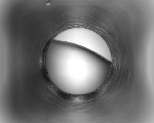 X0000088700564200705311018