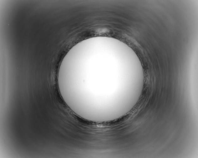 X0000088700565200705311018