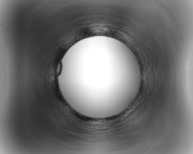 X0000088700567200705311018