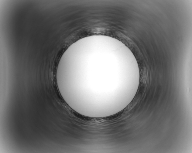 X0000088700569200705311018