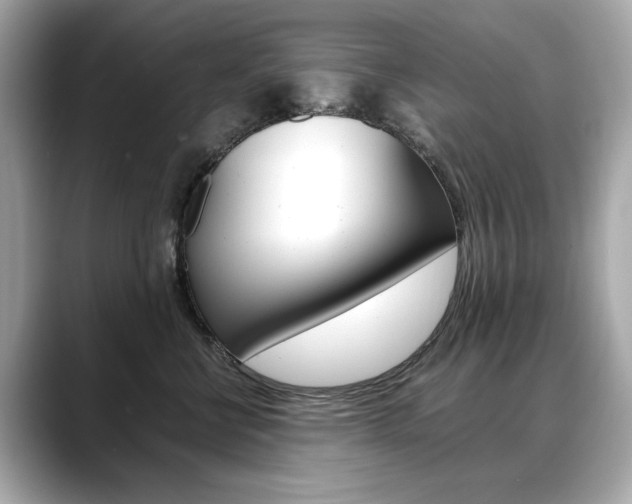 X0000088700570200705311018