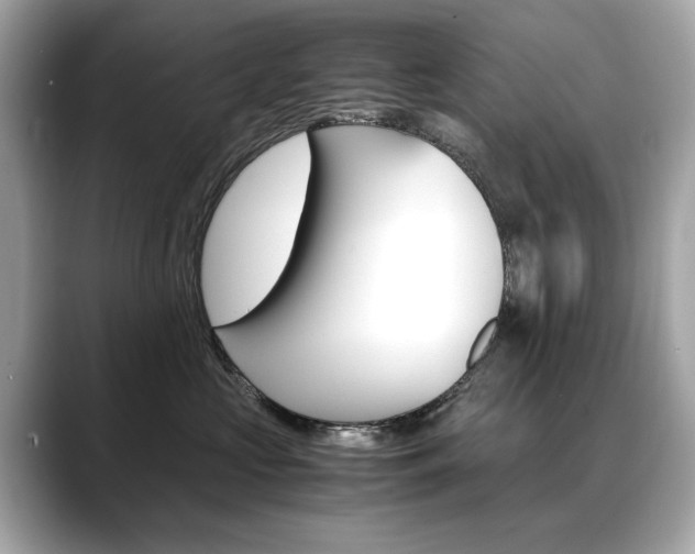 X0000088700573200705311018