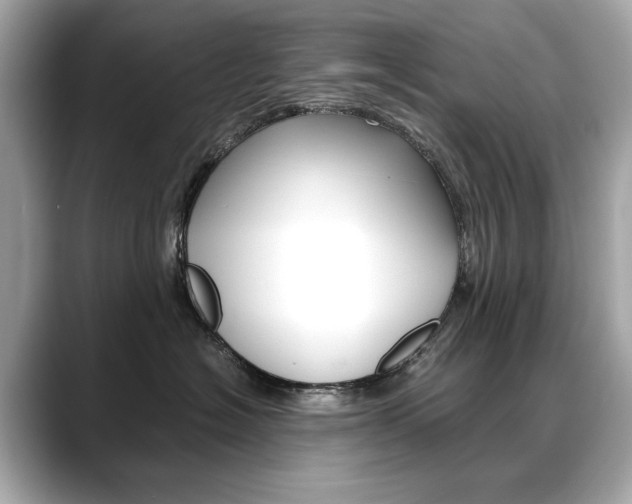 X0000088700574200705311018