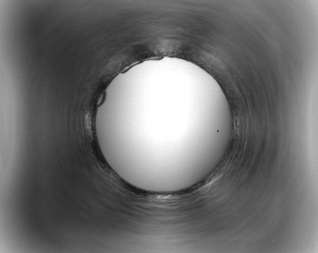 X0000088700575200705311018