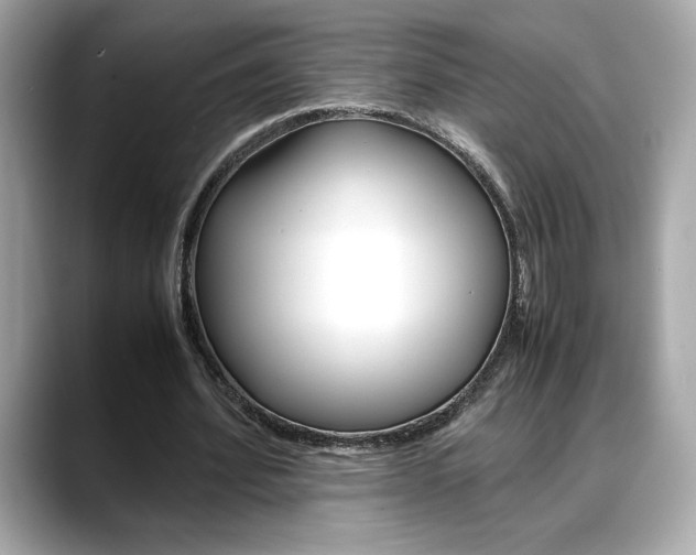 X0000088700580200705311018