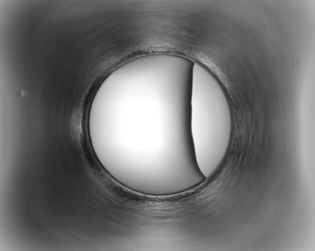 X0000088700582200705311018