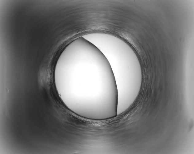 X0000088700583200705311018