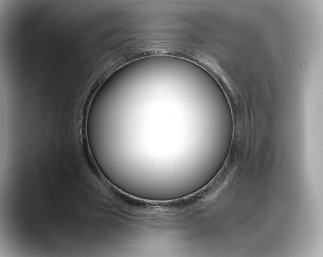 X0000088700585200705311018