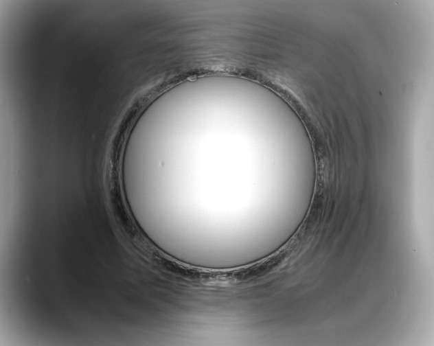 X0000088700587200705311017