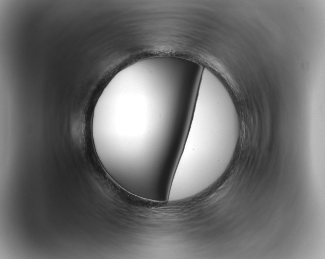 X0000088700588200705311017