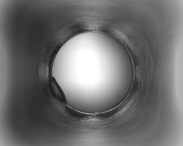 X0000088700589200705311017