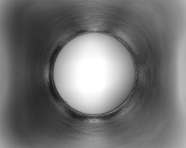 X0000088700590200705311017