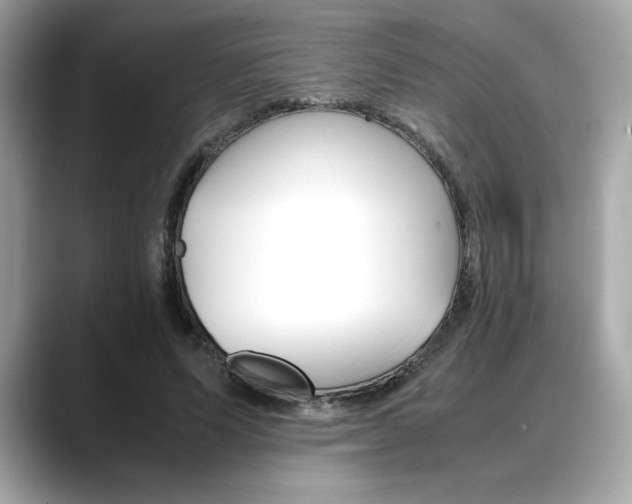 X0000088700591200705311017