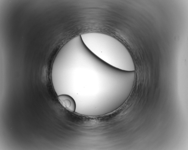 X0000088700594200705311017
