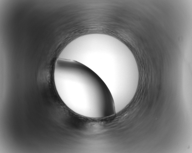 X0000088700595200705311017