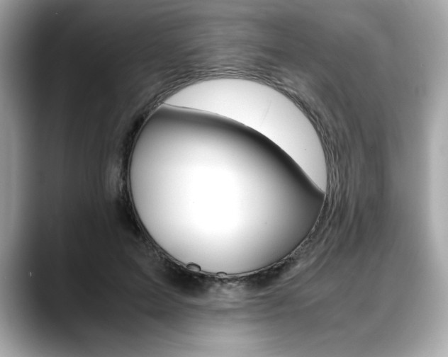X0000088700599200705311017