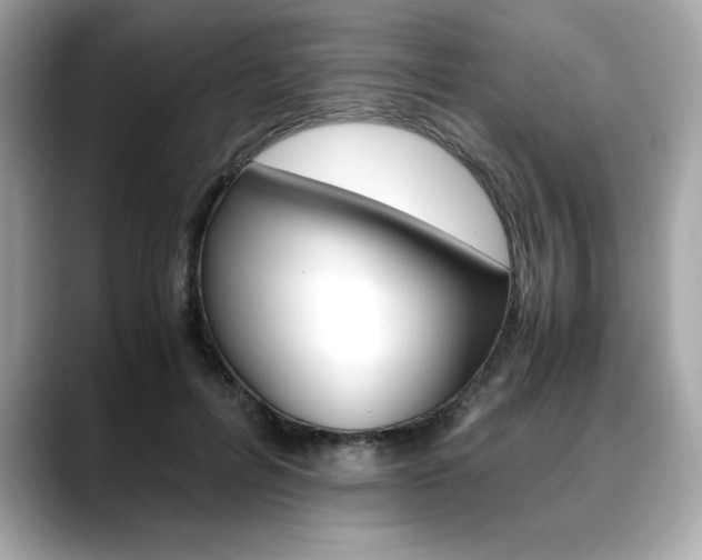 X0000088700600200705311017