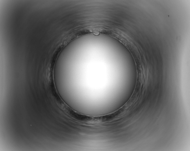 X0000088700604200705311017