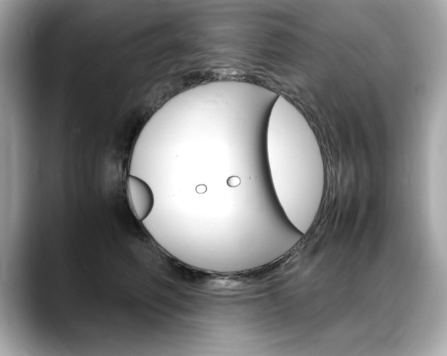 X0000088700614200705311017