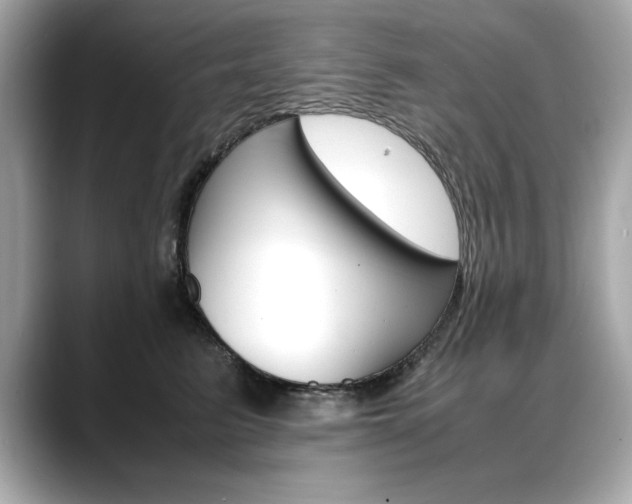 X0000088700615200705311017