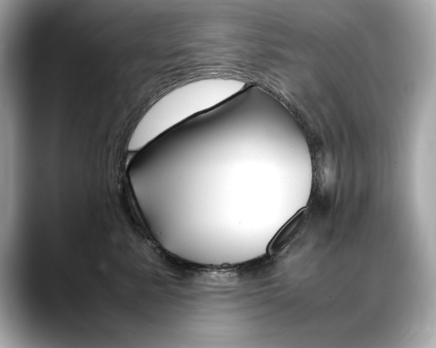 X0000088700619200705311017