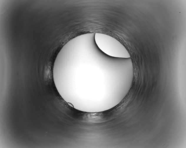 X0000088700622200705311017