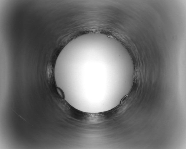 X0000088700623200705311017