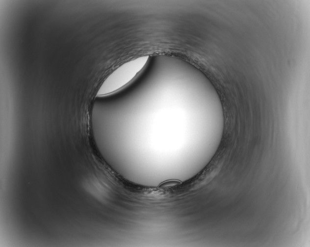 X0000088700624200705311017
