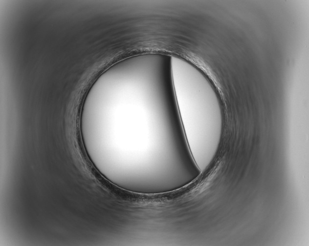 X0000088700625200705311017