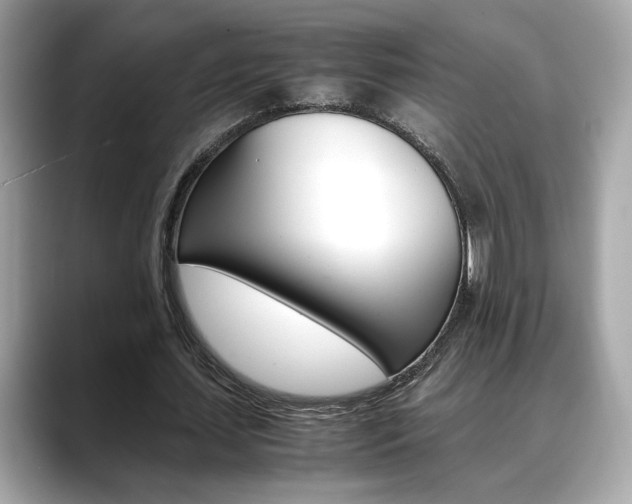 X0000088700627200705311017