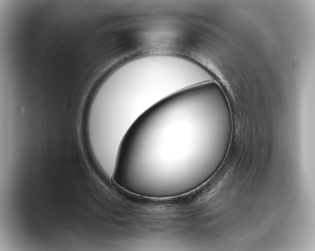 X0000088700629200705311017