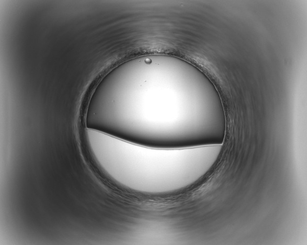 X0000088700630200705311017