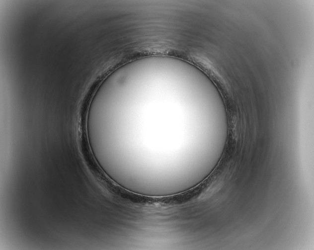 X0000088700634200705311017