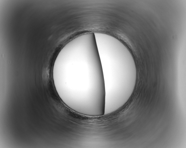 X0000088700636200705311017