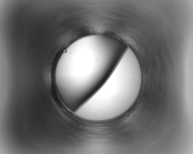 X0000088700638200705311017