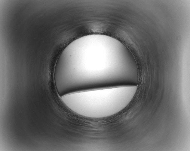 X0000088700639200705311017